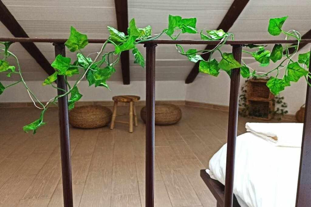 Apartament La Pequena Escalera Mezquita Catedral Kordoba Zewnętrze zdjęcie